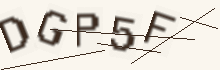 Five characters to copy into the field below the picture.