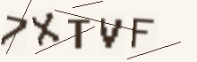 Five characters to copy into the field below the picture.