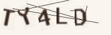 Five characters to copy into the field below the picture.