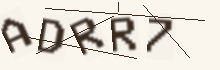Five characters to copy into the field below the picture.